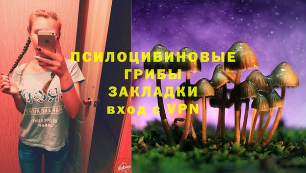 дмт Беломорск