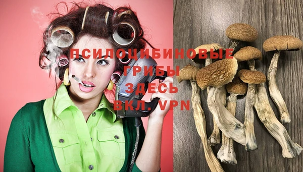 стафф Белоозёрский