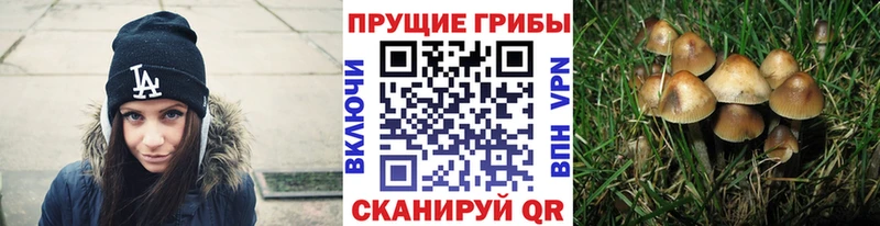 Псилоцибиновые грибы MAGIC MUSHROOMS Верхний Уфалей